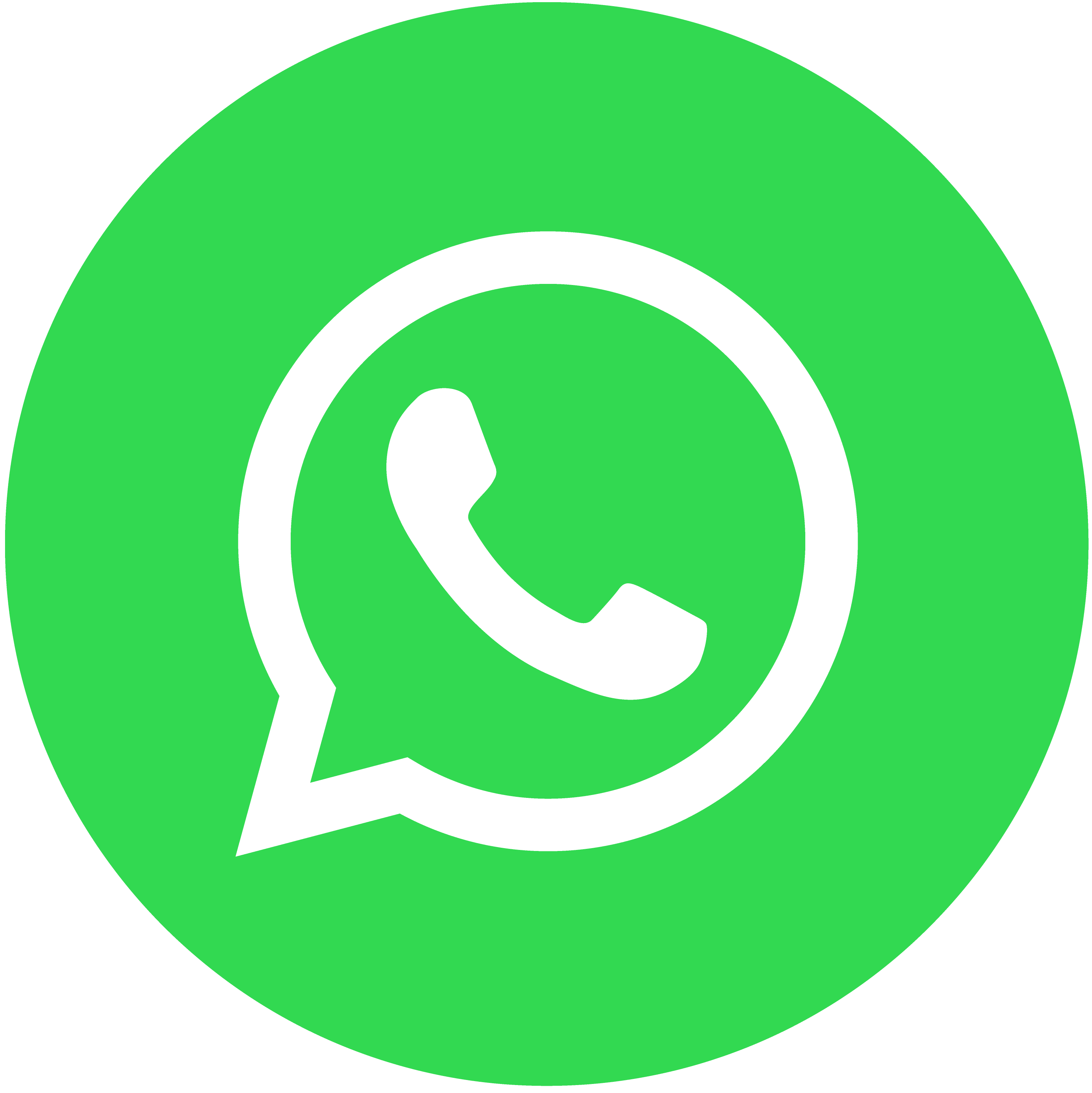 WhatsApp Icon